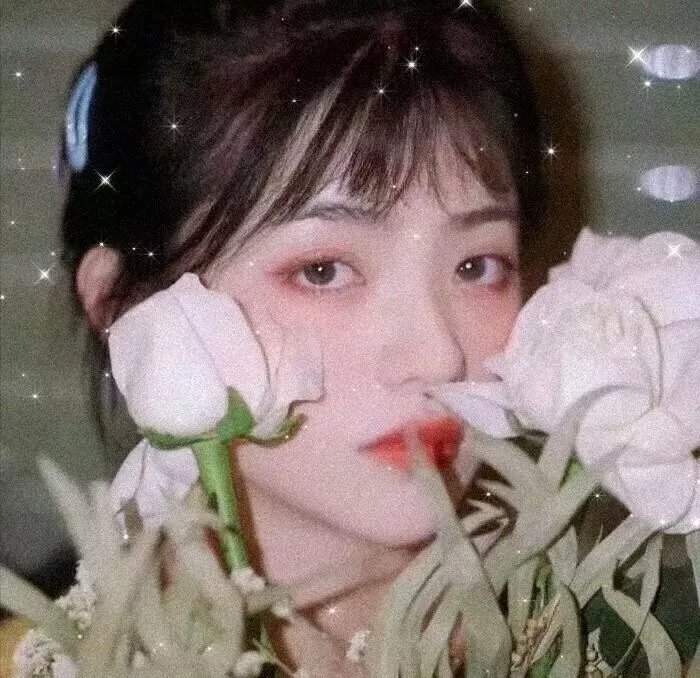 摩托骑士